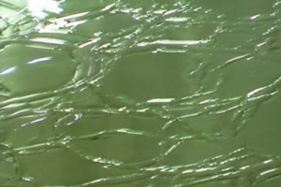 farngrün, Craqueleé ,Glas,